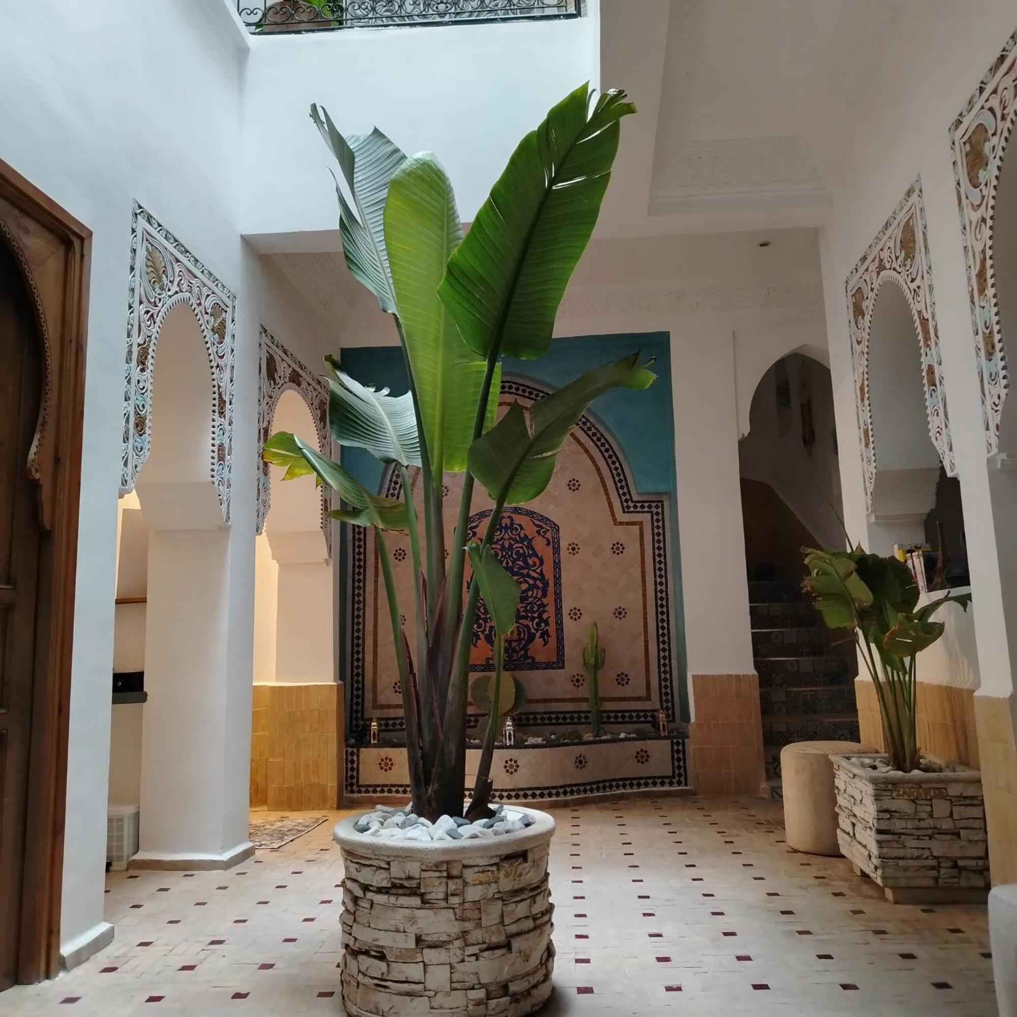 Riad & Spa Sous Le Soleil Chez Jerome Et Pamela Ch Marrakchi มาร์ราเกช ภายนอก รูปภาพ